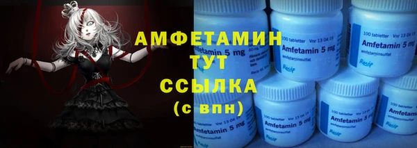 амф Осташков