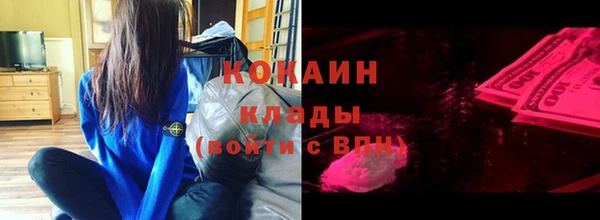 амф Осинники