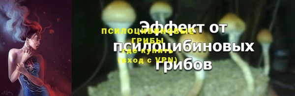 амф Осинники