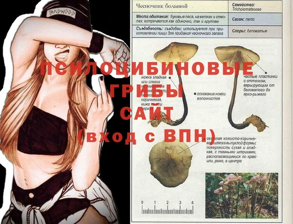 амф Осинники