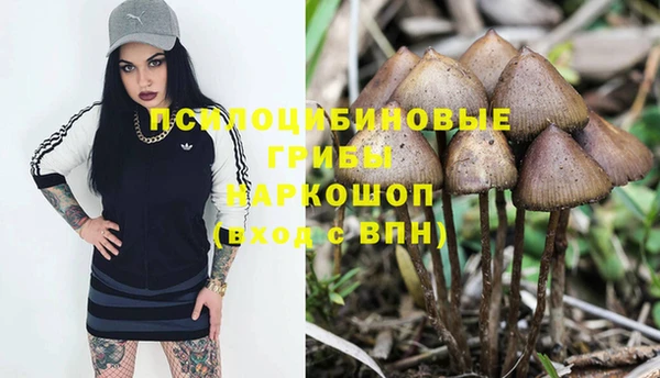 амф Осинники