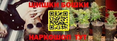 дживик Гай