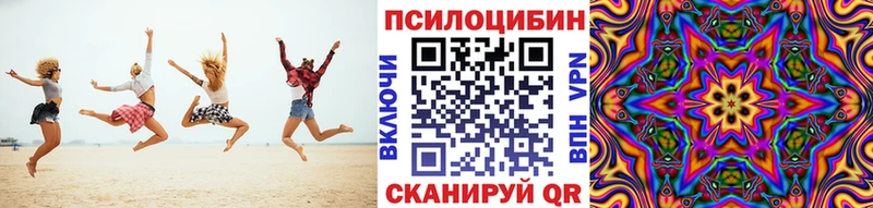 купить наркотики сайты  Анжеро-Судженск  kraken   Псилоцибиновые грибы Psilocybe 