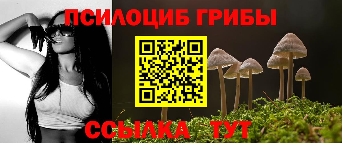Псилоцибиновые грибы мицелий  Вход с VPN  Анжеро-Судженск 