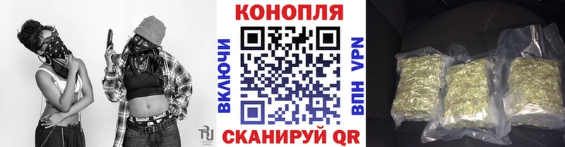 Конопля план  Анжеро-Судженск 